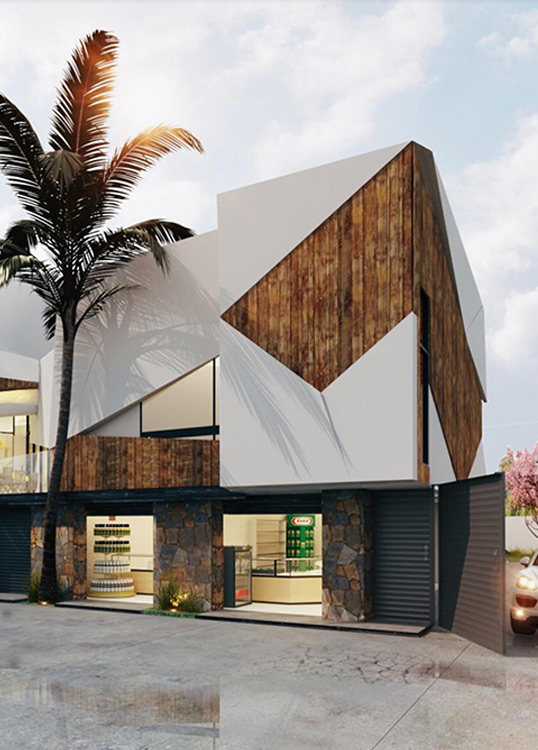 Borato Arquitectos Pachuca